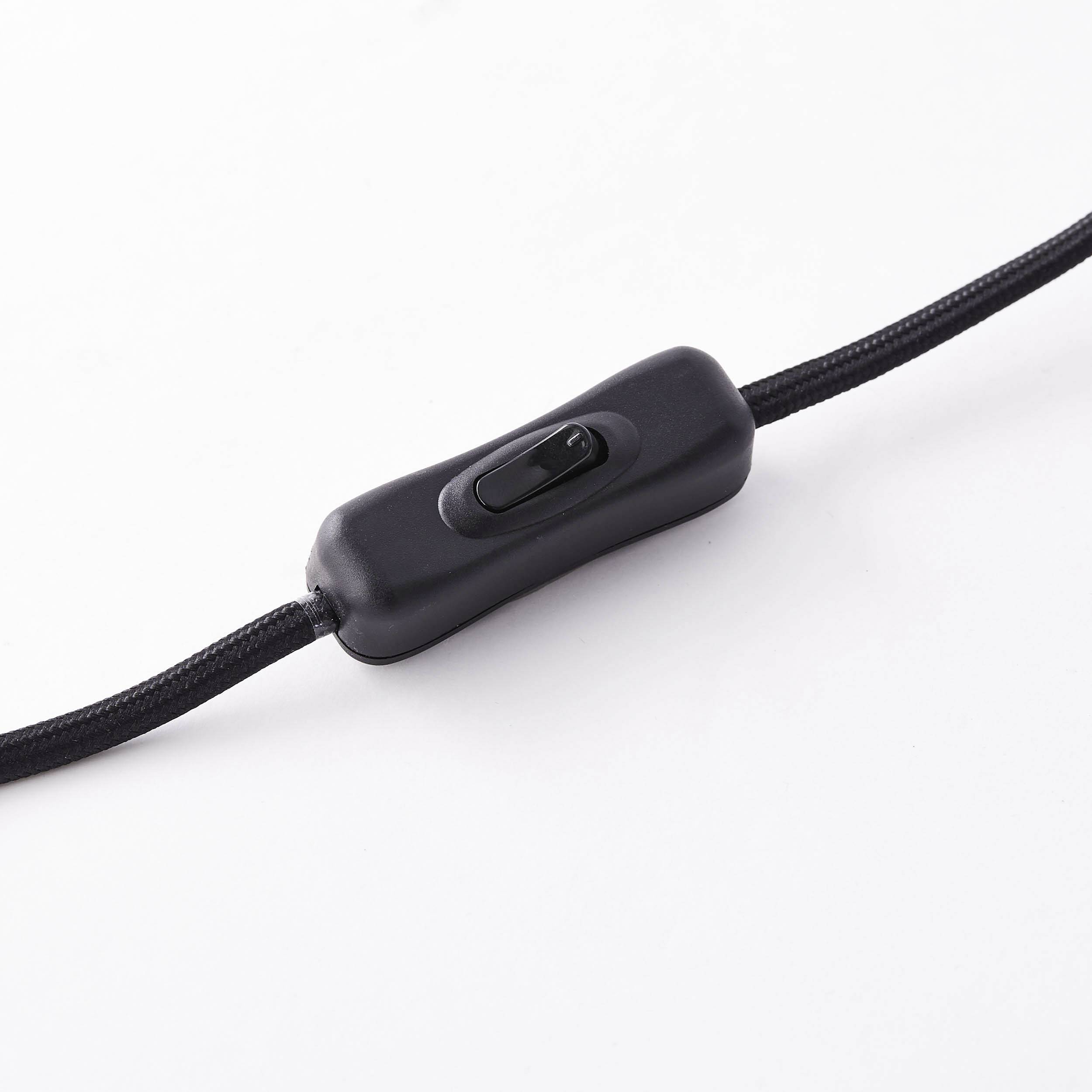A black toggle switch on a cable against a white background.