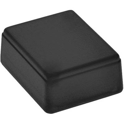A rectangular, black object with rounded edges; possibly a plastic casing or box.