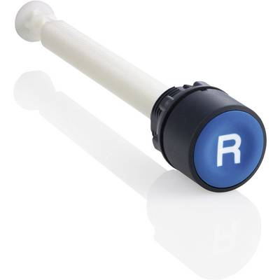 A elongated, white handle with a blue, round push button featuring a white 'R'. The button appears to be part of a control or operating system.