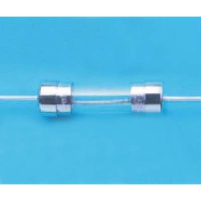 A glass fuse tube on a blue background. It has metal end caps and a wire inside.