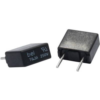 Two rectangular black fuses with metal pins, marked 'bel T6.3A 250V', for use in electronic devices.
