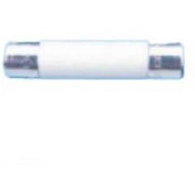 A cylindrical glass fuse with metal end caps, commonly used in electrical devices for overcurrent protection.
