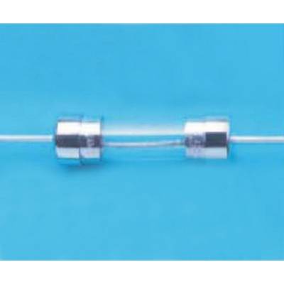 A glass fuse tube with metal end caps, against a blue background.