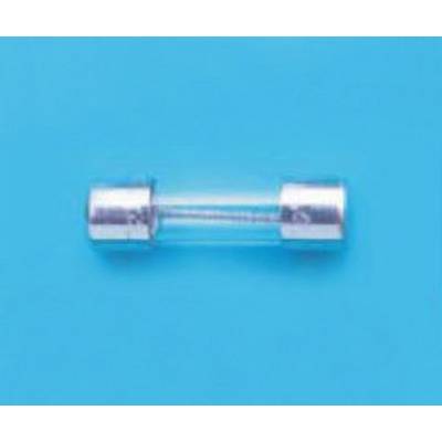 A glass fuse tube against a light blue background. The fuse has metallic end caps and a transparent central section.