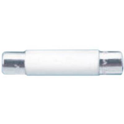 A white cylindrical fuse with metallic end caps, commonly used in electronics to interrupt electrical circuits.