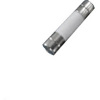 A small glass fuse tube with metal caps at both ends.