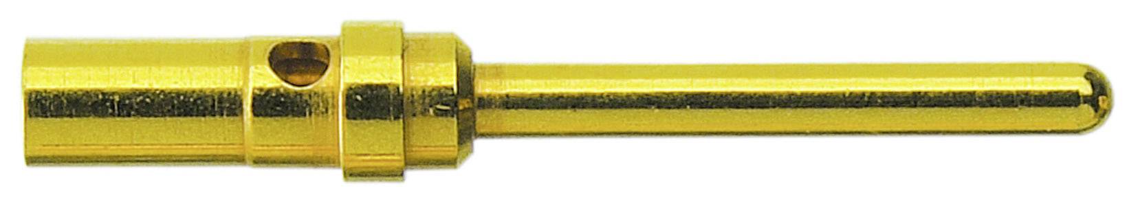 A golden pin connector with a cylindrical end and a smooth surface, used in electronic connections.