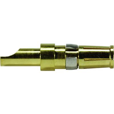 Close-up of a gold-coloured, metallic connector with a cylindrical shape and a ribbed section, presumably an audio jack.