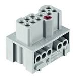 Socket insert
