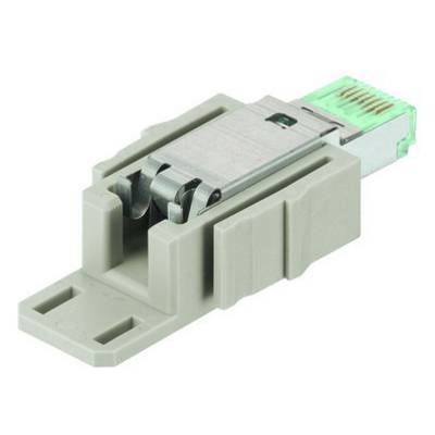 A grey Ethernet plug with a plastic housing and metal connector, with network connection contacts visible inside.