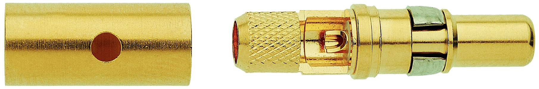 'Two golden metallic components side by side. On the left, a smooth cylinder with a red dot, on the right, a more complex adaptor with multiple connection points.'