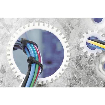 Colourful cables run through a gear wheel in a technical environment.