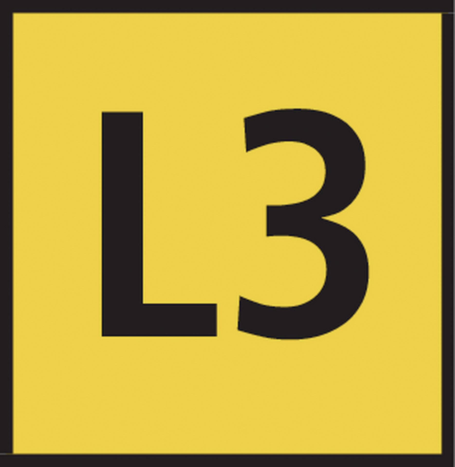 A yellow square with the black text 'L3'.
