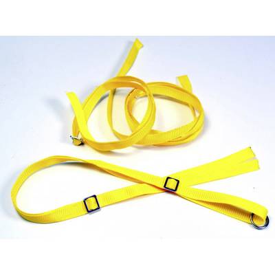 Image of Absima 1:10 Straps with D-rings Yellow