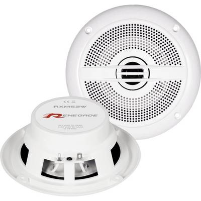 Round, white speakers with Renegade logo. One shows the front with speaker grille, the other the rear with connections.