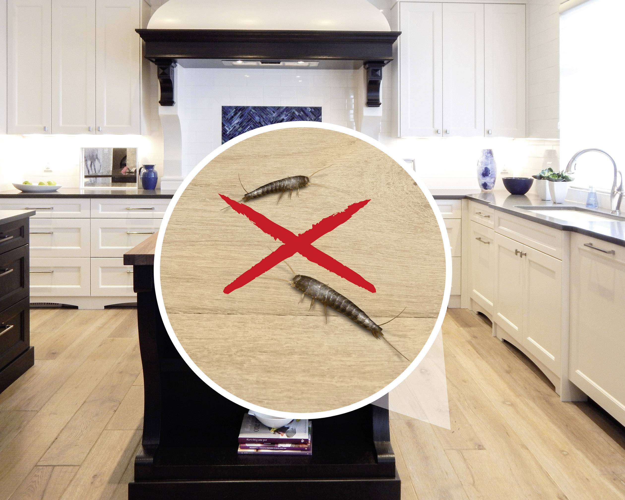White and black kitchen, with red-crossed silverfish on a wooden floor enlarged in the foreground.