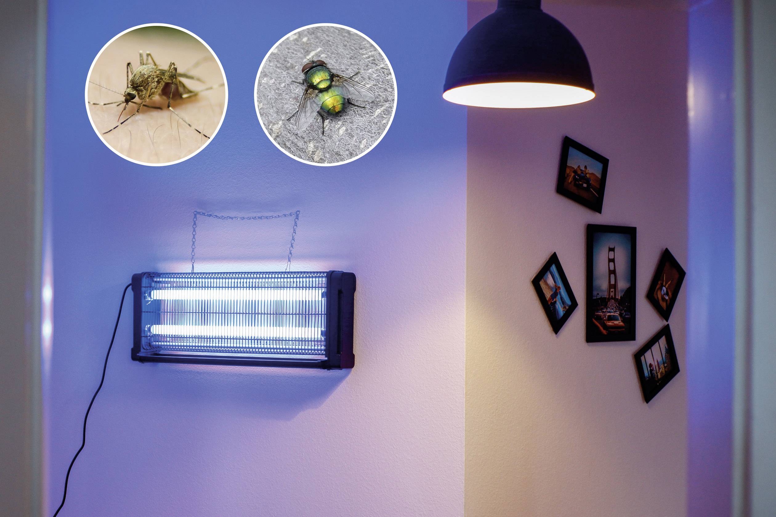 Gardigo Profi 150 62405 UV fly trap UV light, Electrical grid 40 W (W x H x D) 696 x 265 x 100 mm Black 1 pc(s)-1