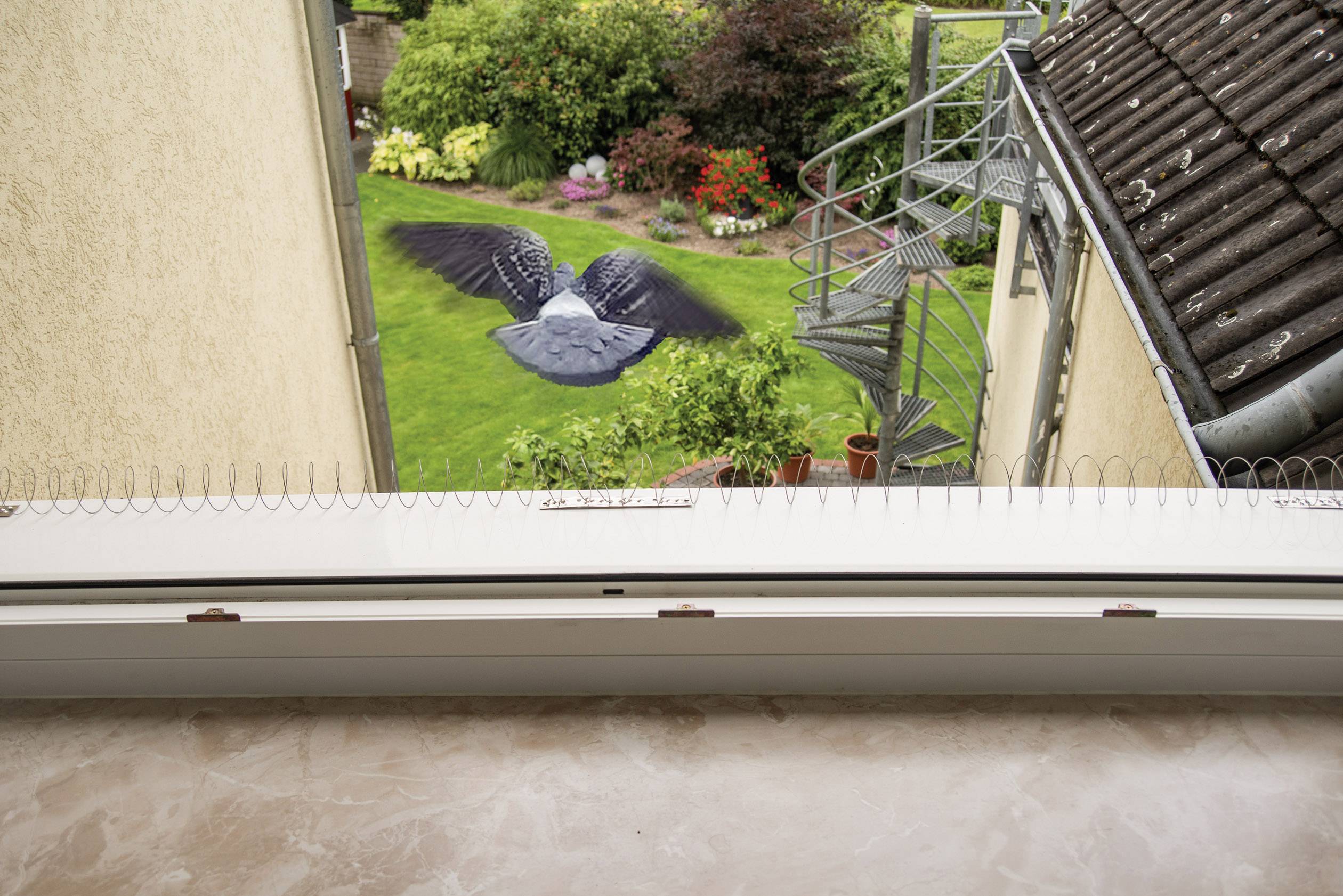 A bird flies across the lawn in the garden, viewed through a window fitted with anti-pigeon spikes on the windowsill. A spiral staircase and flower beds are visible in the background.