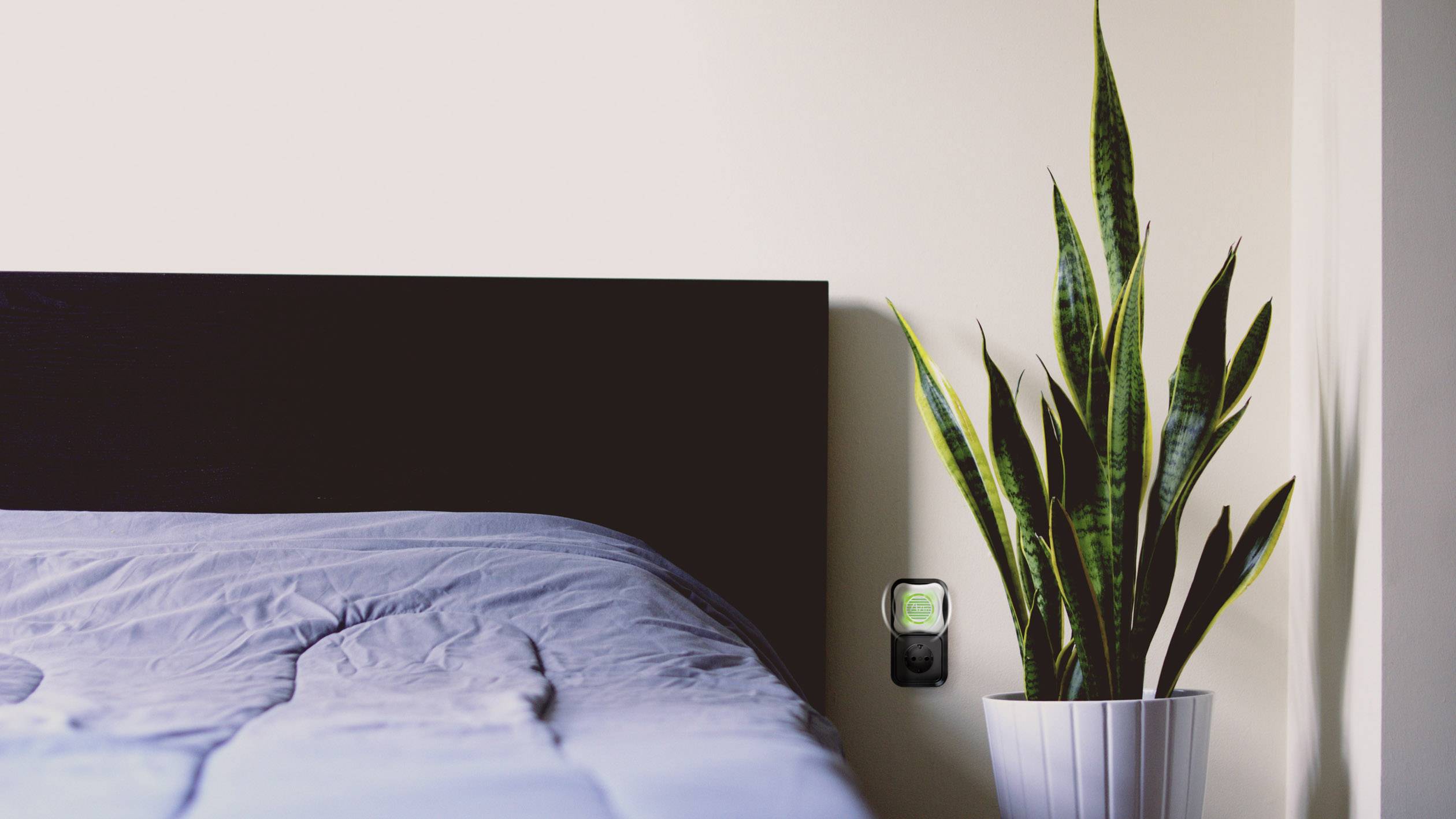 A bed with a grey-blue duvet cover stands in front of a wall. To the right is a potted plant, with long, green leaves.