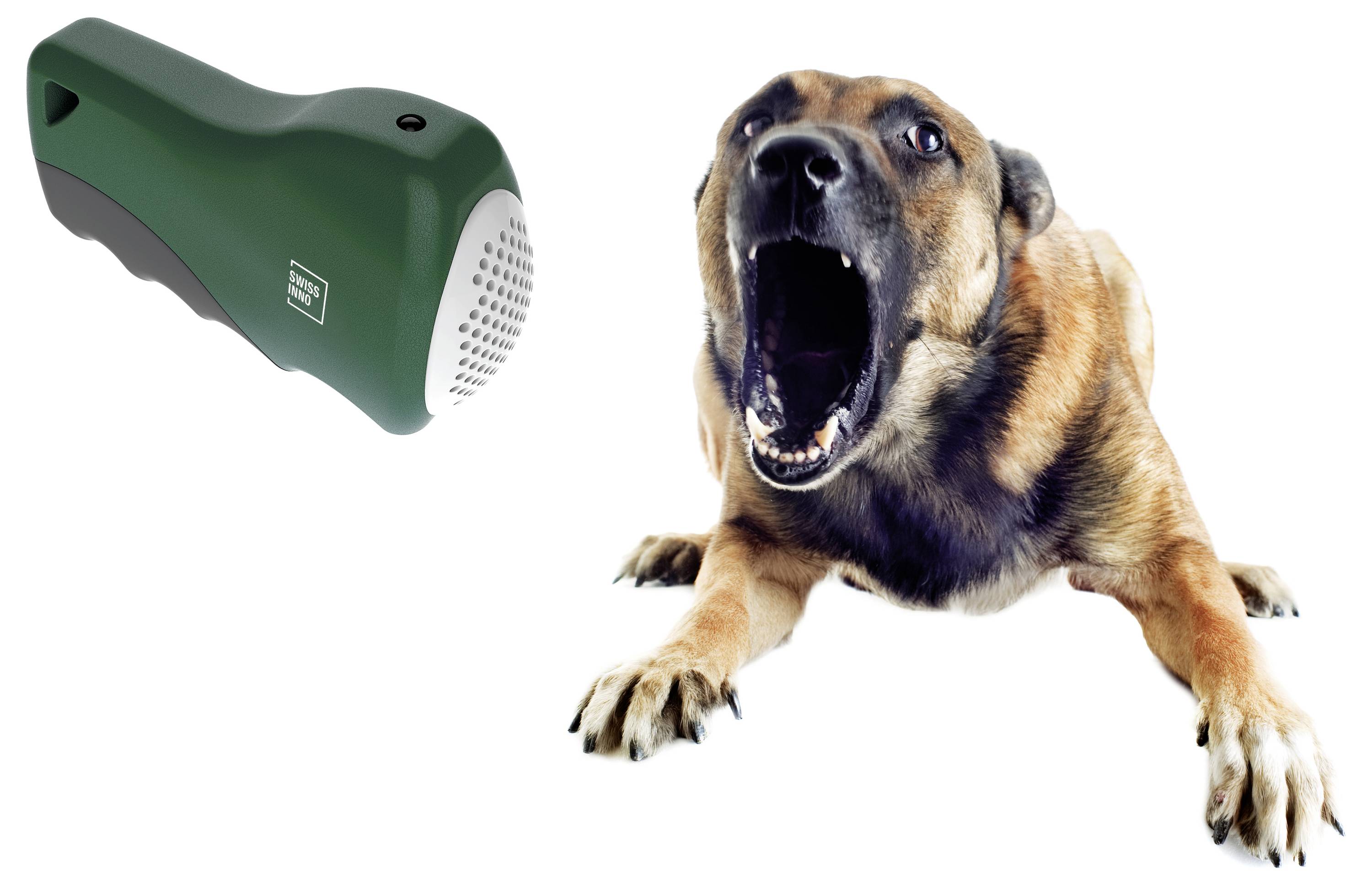 'A dog barking at an ultrasonic dog repellent device, which is emitting a signal.'