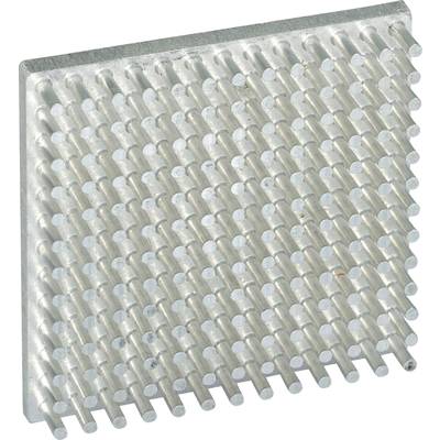 Silver metal heatsink with multiple vertical pins for heat dissipation, viewed diagonally from above.