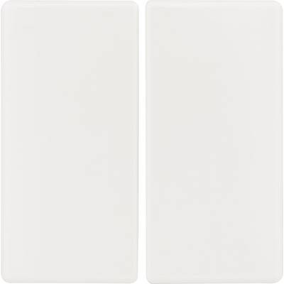 Two rectangular, white light switches side by side, without labelling or distinctive features.