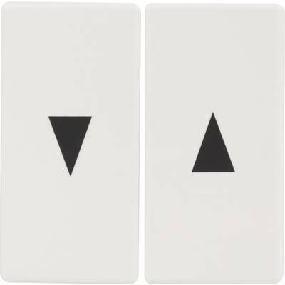 Two white switches with black triangles: the left triangle points downwards, the right upwards. Symbolises upward and downward movement.