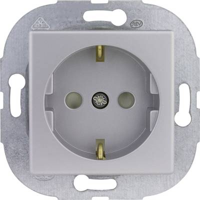Silver socket in a metal plate, photographed head-on.