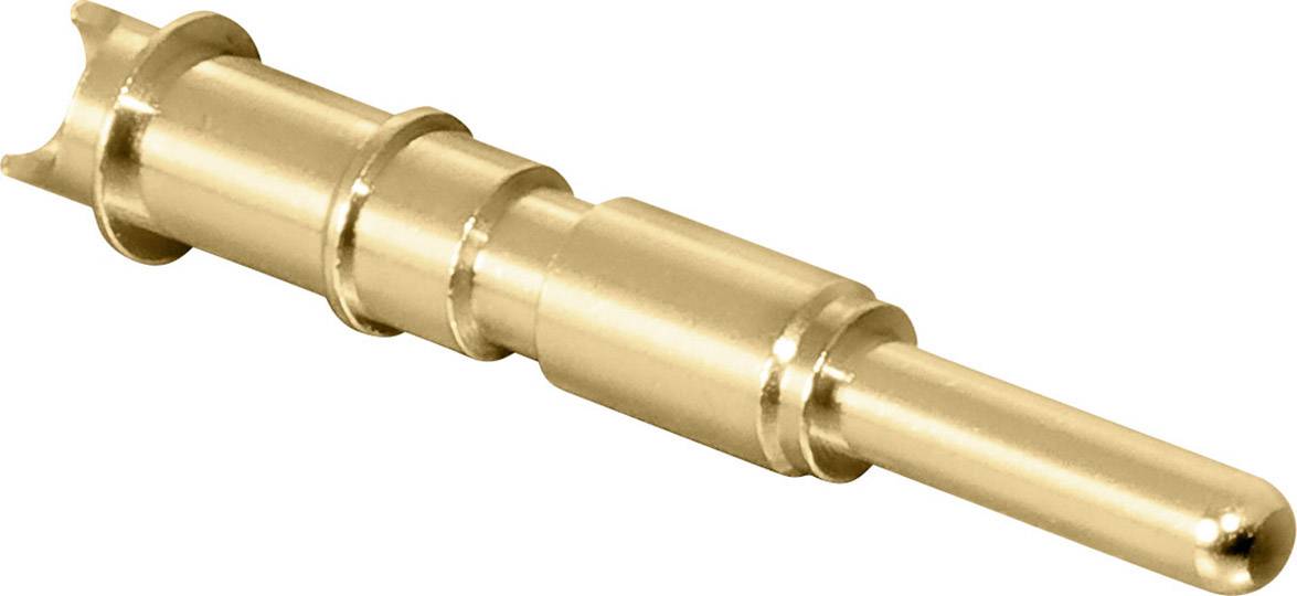 A gold-coloured electrical contact pin with multiple stages.