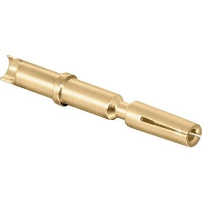 Golden metal pin, tapered with multiple sections, used for electrical connections.
