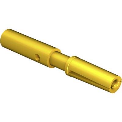 A gold-coloured, cylindrical metal object with a hole on one side and a tapered end. It could be a technical component.