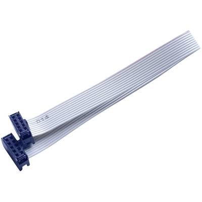 BKL Electronic 10120668 Ribbon cable Contact spacing: 2.54 mm 10 x 0.08 mm² Grey 1 pc(s)