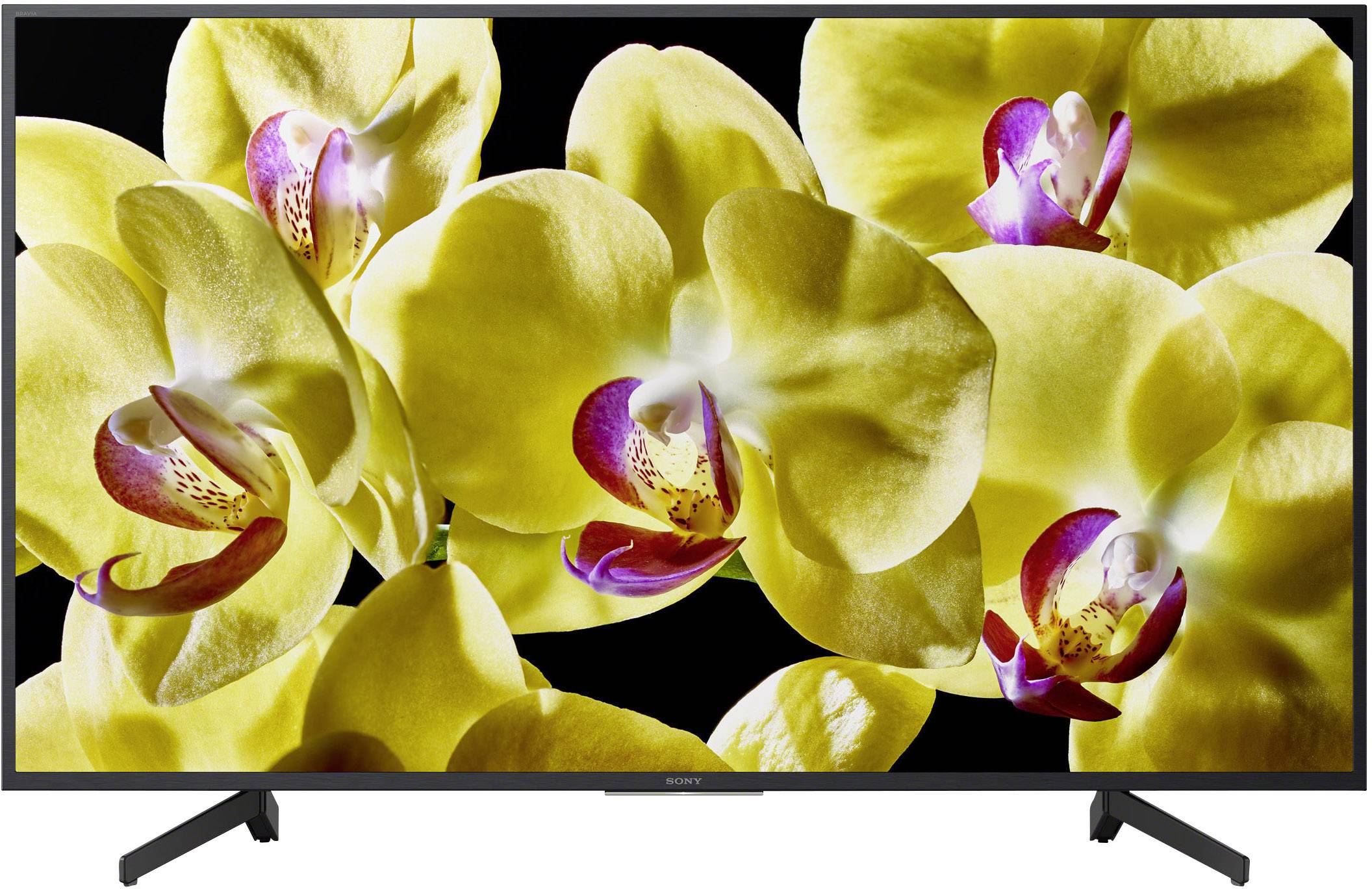 Sony BRAVIA KD49XG8096 LED TV 123 cm 49 inch EEC A (A+++ – D) DVB-T2, DVB-C, DVB-S2, UHD, Smart TV, Wi-Fi, PVR ready, CI+ Black