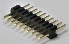 A row of electrical plug pins on a black plastic base. The pins are gold-plated and arranged in two rows.