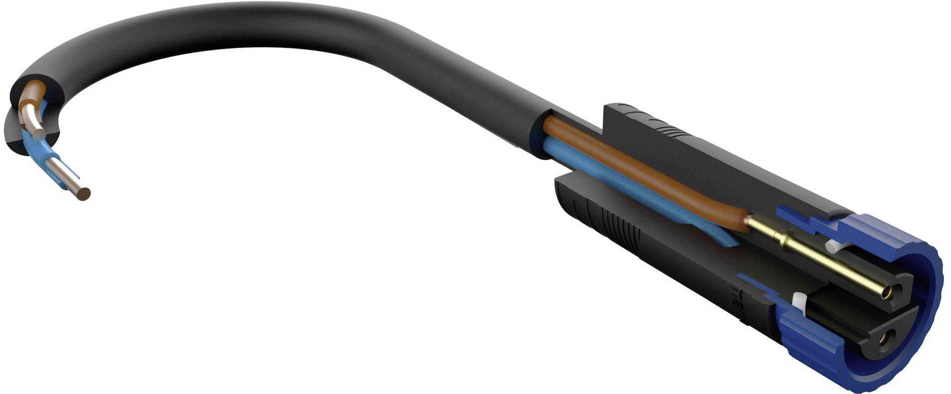 A cross-section model of an electrical cable shows the insulation and copper wires within. The outer black sheath is partially stripped away.