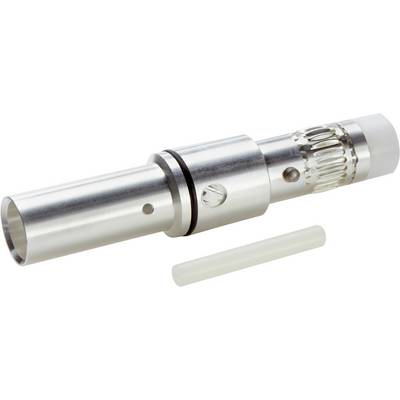 Metal cylinder with crimped edge and seal, alongside a smaller white cylinder.