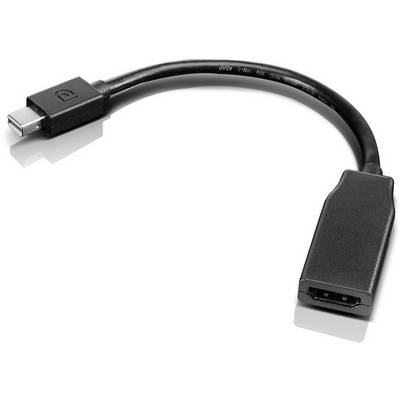 Adapter cable with Mini DisplayPort plug and HDMI socket for connecting computers to HDMI-compatible displays.