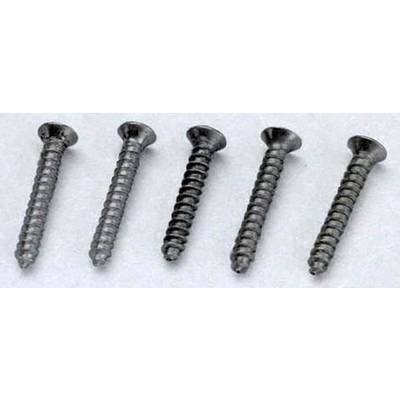 Five metal screws with cross-head slots, lying in a row on a white background.