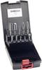 Rhodius 305484 Milling set Carbide metal 10-piece