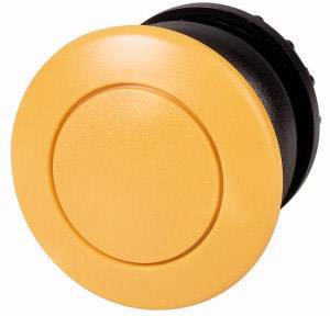 A large, round, orange button against a white background.