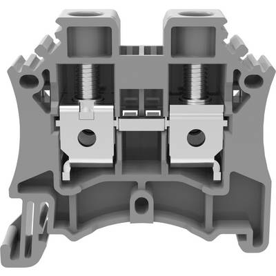 Grey plastic terminal block with two metal screws on top. It is used for securely connecting electrical cables in control cabinets.