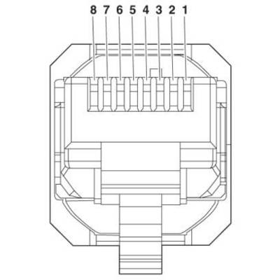 Diagram of an RJ45 connector with numbered connections from 1 to 8.
