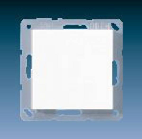 Jung 1x Insert Cover  Creamy white A594-0 1 pc(s)