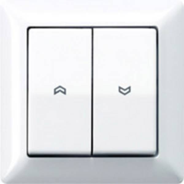 Jung 1x Insert Switch Alpine white AS590-5PWW 1 pc(s)
