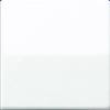 Jung 1x Insert Switch Alpine white AS591WW 1 pc(s)