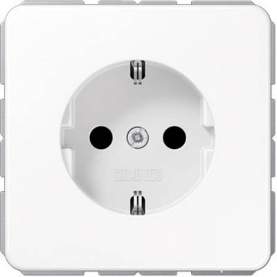 White European power socket in a wall plate, suitable for Schuko plugs, central view of openings.