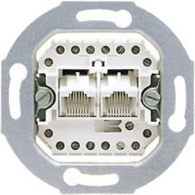 'Network connection with two Ethernet ports in a metal casing, suitable for wall mounting. Cutting-edge technology for home networks.'