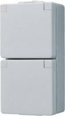 Jung 2x Surface-mount casing Socket  Grey 622WW 1 pc(s)