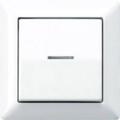 Light switch in close-up, rectangular with a white frame and a slightly recessed surface in the centre, suitable for interior spaces.