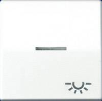 Image of Jung 1x Insert Switch Alpine white AS591KO5LWW 1 pc(s)